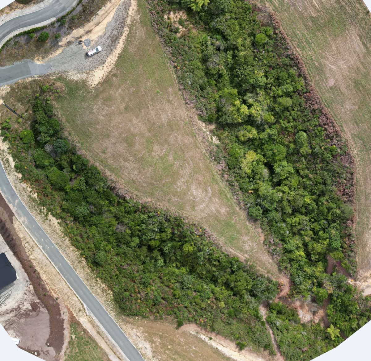 Overhead orthomosaic of tree canopy across a working forestry block